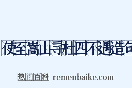 使至嵩山寻杜四不遇造句是什么意思的图片